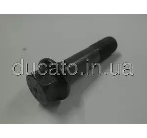 Болт крепления шестерни коленвала Fiat Doblo (2000-2005) 1.9D/JTD, 55221689, 7686765