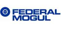 Federal Mogul