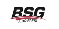 BSG BSG
