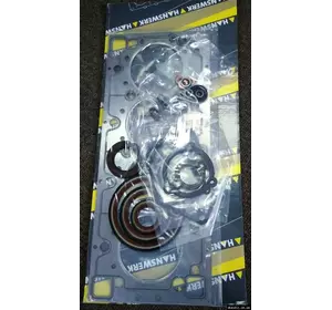 Комплект прокладок двигателя (полный) Citroen Jumper (1994-2002) - 2.5TDI DJ5TED 0197.W4, 50178500, 99419700,HW150250,013411001
