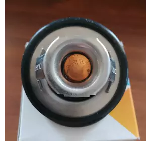 Термостат 89°C Renault Kangoo (1997-2007) 1.9D 7700966896,7700872314,4402719,9110719,TH6045.89J Термостат 89°C Renault Kangoo (1997-2007) 1.9D 7700966896,7700872314,4402719,9110719,TH6045.89J