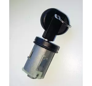 Личинка замка с ключем Fiat Scudo 220 (1995-2004), 9566902880, 9790461980, YSM5CT09 Личинка замка с ключем Fiat Scudo 220 (1995-2004), 9566902880, 9790461980, YSM5CT09