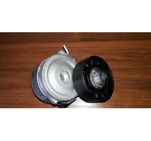 Ролик генератора с механизмом Peugeot Expert II (2004-2006) 2.0HDi, 1613839980, 575155, APV1028 Ролик генератора с механизмом Peugeot Expert II (2004-2006) 2.0HDi, 1613839980, 575155, APV1028