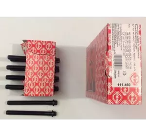 Болты головки блока цилиндров (ГБЦ) Renault Kangoo (1997-2007) 1.9D/DTi/DCi, 7700865991, 7700853008, 111460 Болты головки блока цилиндров (ГБЦ) Renault Kangoo (1997-2007) 1.9D/DTi/DCi, 7700865991, 7700853008, 111460