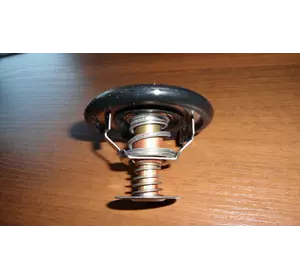 Термостат Fiat Ducato 244 (2002-2006) 2.0JTD, 9616090180, 021202014683P Термостат Fiat Ducato 244 (2002-2006) 2.0JTD, 9616090180, 021202014683P