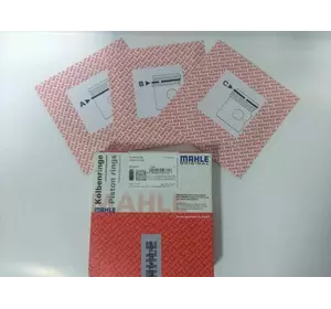 Кольца поршневые STD 69.6 мм (2-1.5-2 мм) Fiat Doblo (2000-2005) 1.3JTD, 71752645, 01004N0 Кольца поршневые STD 69.6 мм (2-1.5-2 мм) Fiat Doblo (2000-2005) 1.3JTD, 71752645, 01004N0