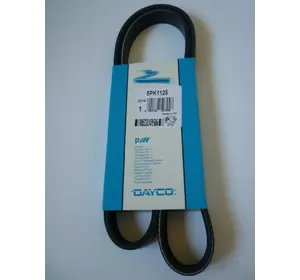 Ремень генератора Nissan Interstar (2003-2010), 1195000Q0E, DAY5PK1125 Ремень генератора Nissan Interstar (2003-2010), 1195000Q0E, DAY5PK1125