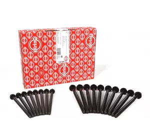 Болты головки блока цилиндров (ГБЦ) Peugeot Boxer III (2006-2014) 2.2HDi, 9659135580, 9659281480, 0204C0, 0204A9, 733100 Болты головки блока цилиндров (ГБЦ) Peugeot Boxer III (2006-2014) 2.2HDi, 9659135580, 9659281480, 0204C0, 0204A9, 733100