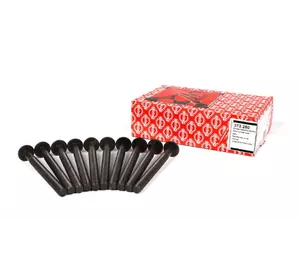 Болты головки блока цилиндров (ГБЦ) Renault Kangoo (2009-.....) 1.5DCi, 7701478860, 7701477395, 7701473178, 373280 Болты головки блока цилиндров (ГБЦ) Renault Kangoo (2009-.....) 1.5DCi, 7701478860, 7701477395, 7701473178, 373280